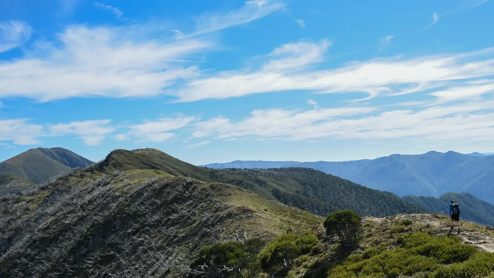 Hunting Outside of Australia